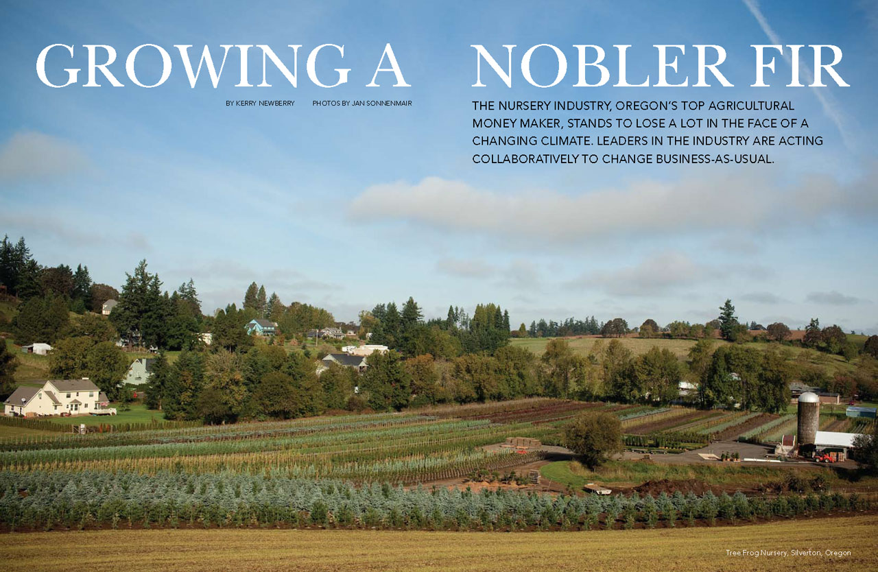 Growing a Nobler Fir: Nursery Farms – A Changing Industry