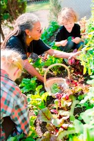 Powerful Medicine: A Garden Gives Portland’s Native Community a Place to Call Home