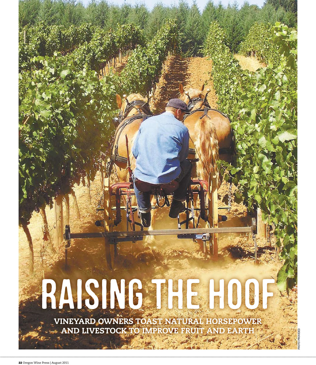 Raising the Hoof: Vineyard owners toast natural horsepower and livestock to improve fruit and earth