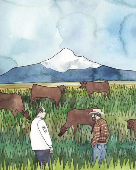 Illustration by Katie Eberts