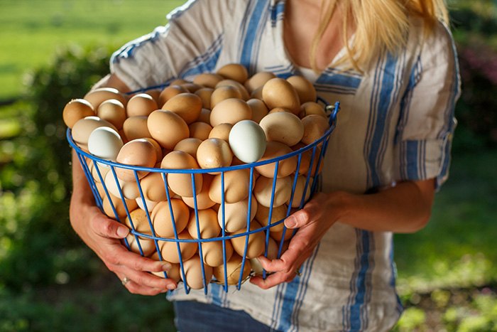 NW Farmers: Cascade Farm