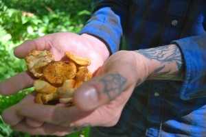 Food & Wine (10)