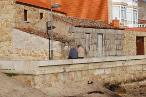 Travel (14)