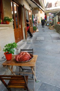 Travel (15)