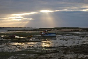 Travel (3)