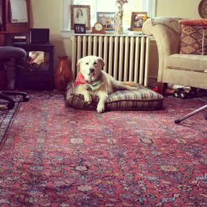 Travel (30)