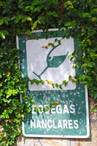 Travel (5)
