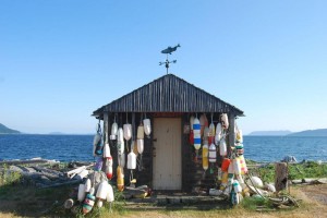 Travel Lummi